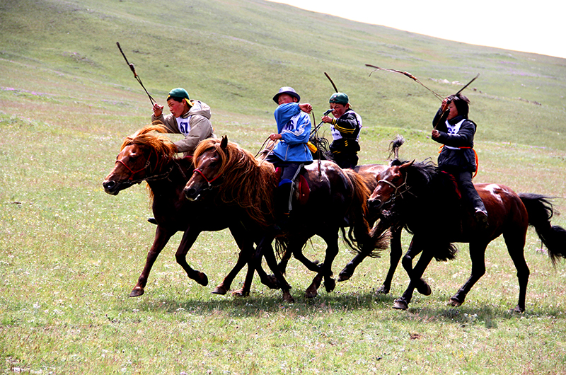 Horse racing during Naadam festival